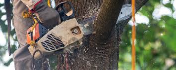 Lawn Watering Services in Rice, TX